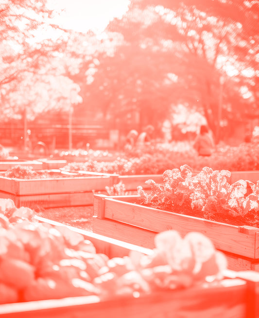 PLANTS FOR THE COMMUNITY GARDEN